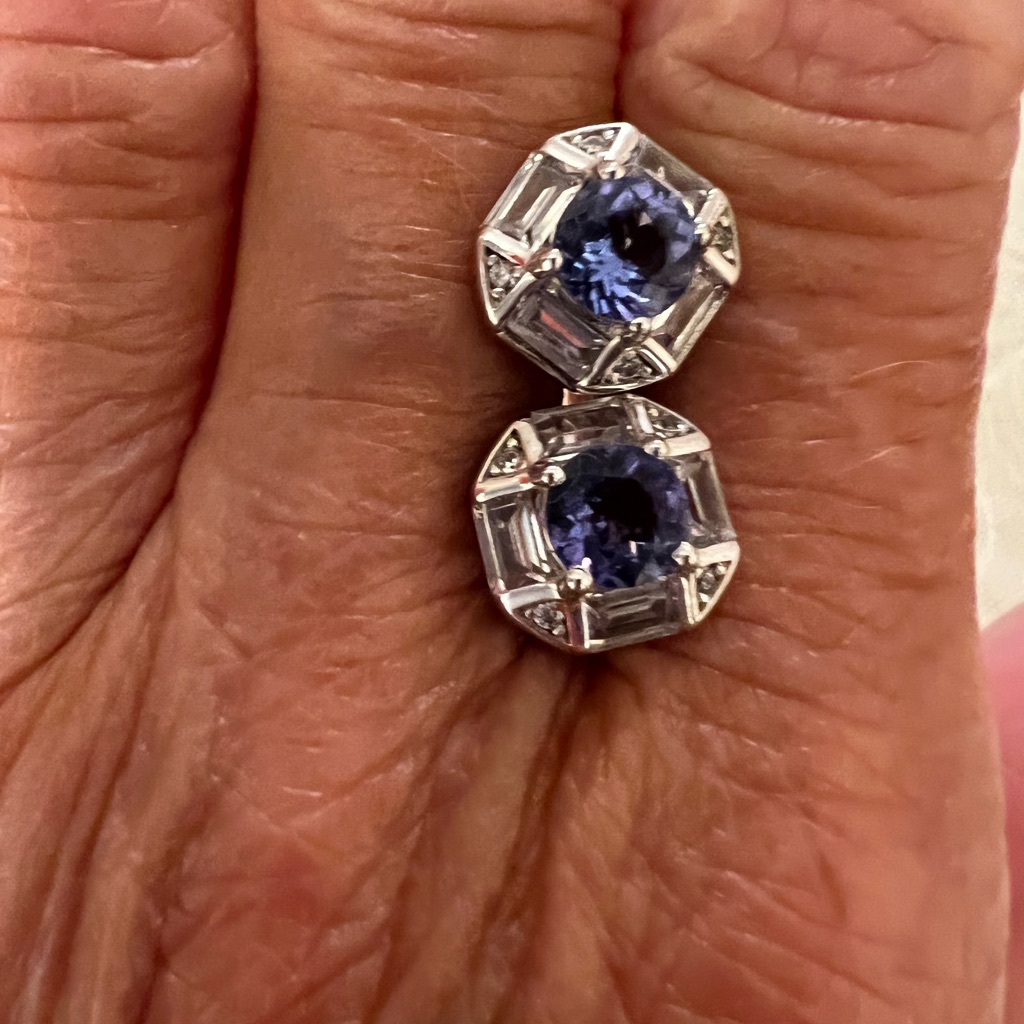 Classic Round Blue Gem And Silver Halo Stud Earrings